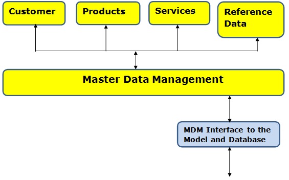 Conceptual Model