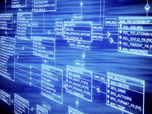 SAP from Silwood Data Model for MetaData Management